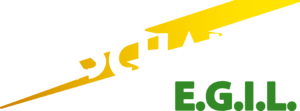 Hirschauer Egil SARL