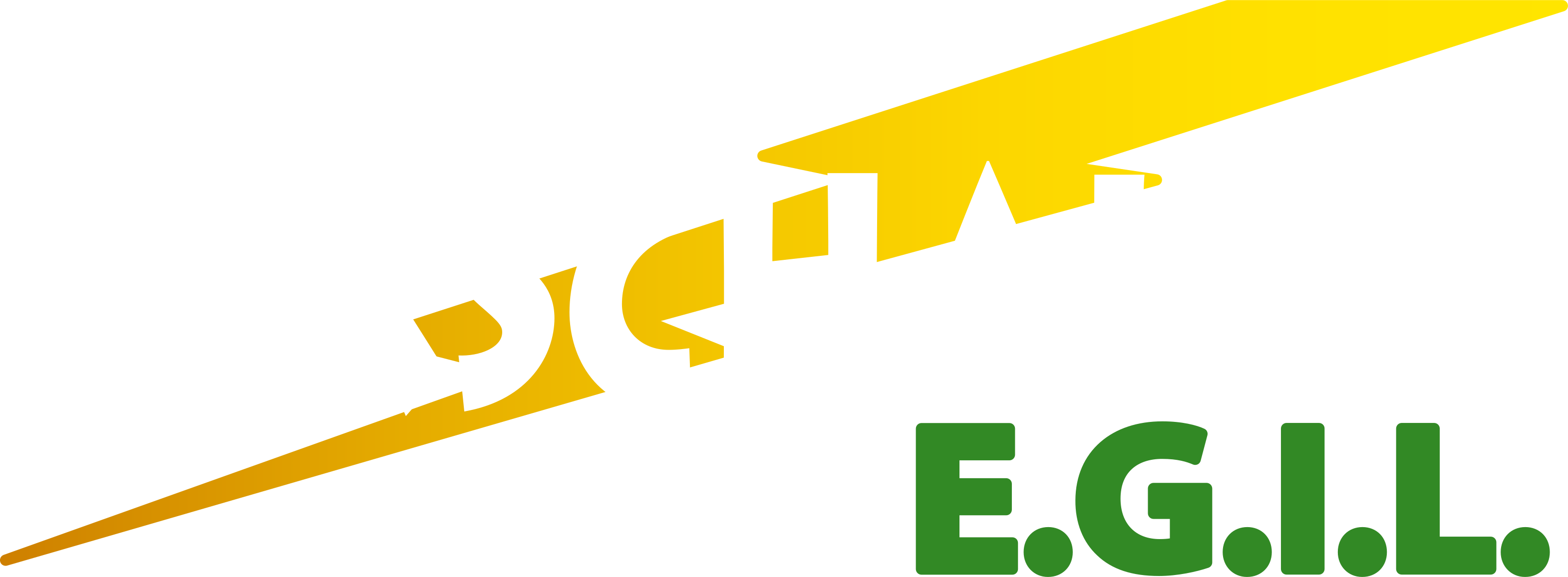 Hirschauer Egil SARL